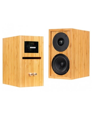 iFi Audio Retro 50 Stereo Sistem