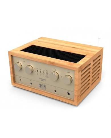 iFi Audio Retro 50 Stereo Sistem