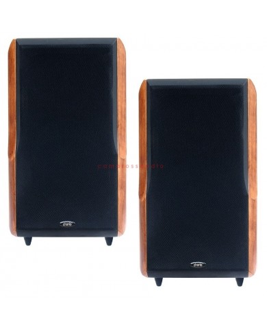 Chario Constellation Delphinus