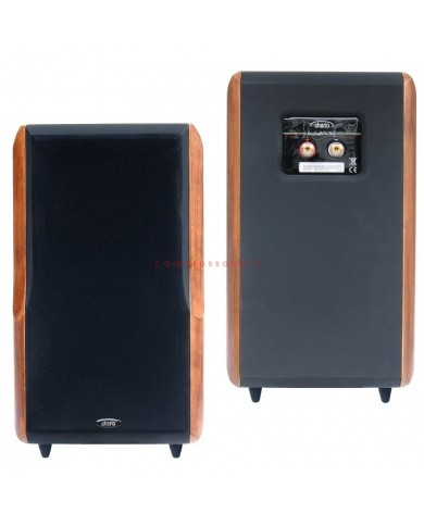 Chario Constellation Delphinus