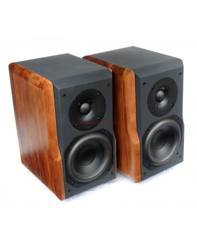 Chario Constellation Delphinus