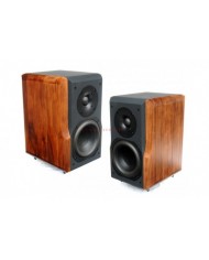 Chario Constellation Delphinus & Stand