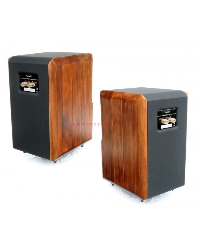 Chario Constellation Delphinus & Stand