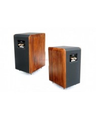 Chario Constellation Delphinus & Stand