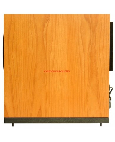 Usher SW-102 Active Subwoofer Remote Control