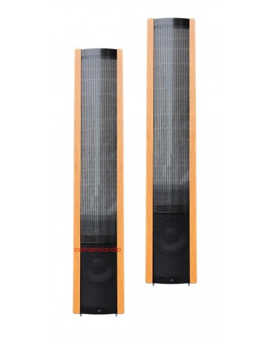 Martin Logan Aerius i