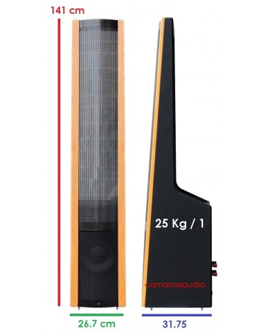 Martin Logan Aerius i