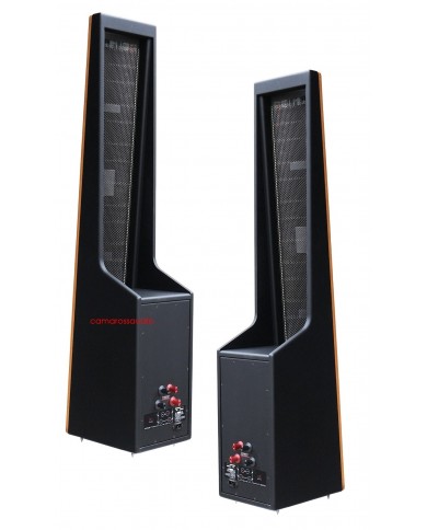 Martin Logan Aerius i