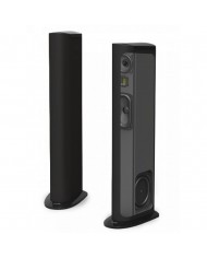 GoldenEar Triton Three 