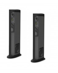 GoldenEar Triton Three  GoldenEar Triton Three