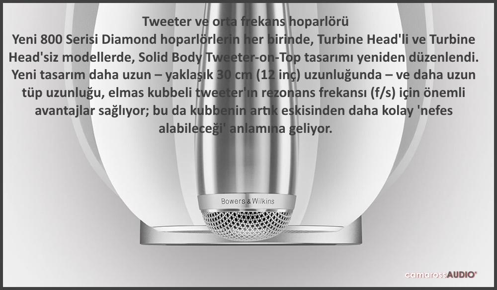 Bowers & Wilkins 801 D4 tweeter detayı ve Solid Body tasarımı.