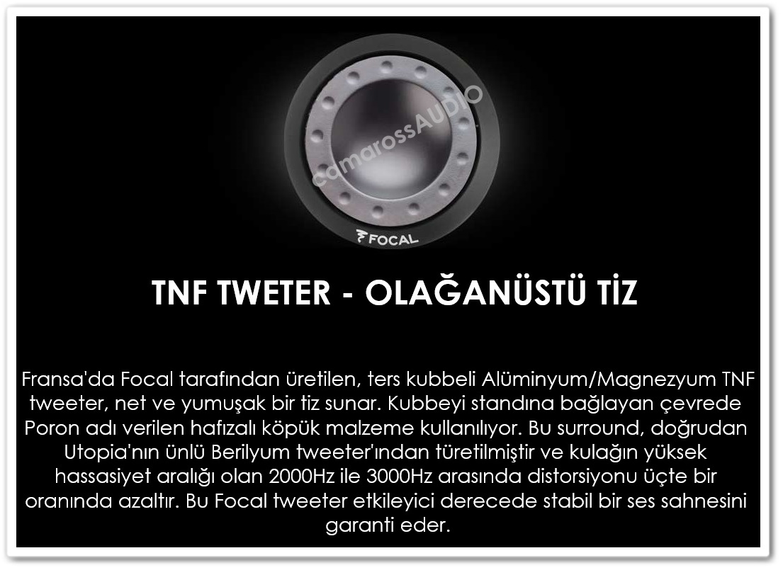 focal-tnf%20tweeters.jpg