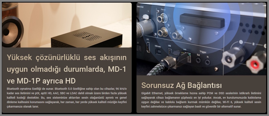 Matrix Audio MD-1 Streamer & Amplifier bağlantı portları ve cihaz üst görünümü.