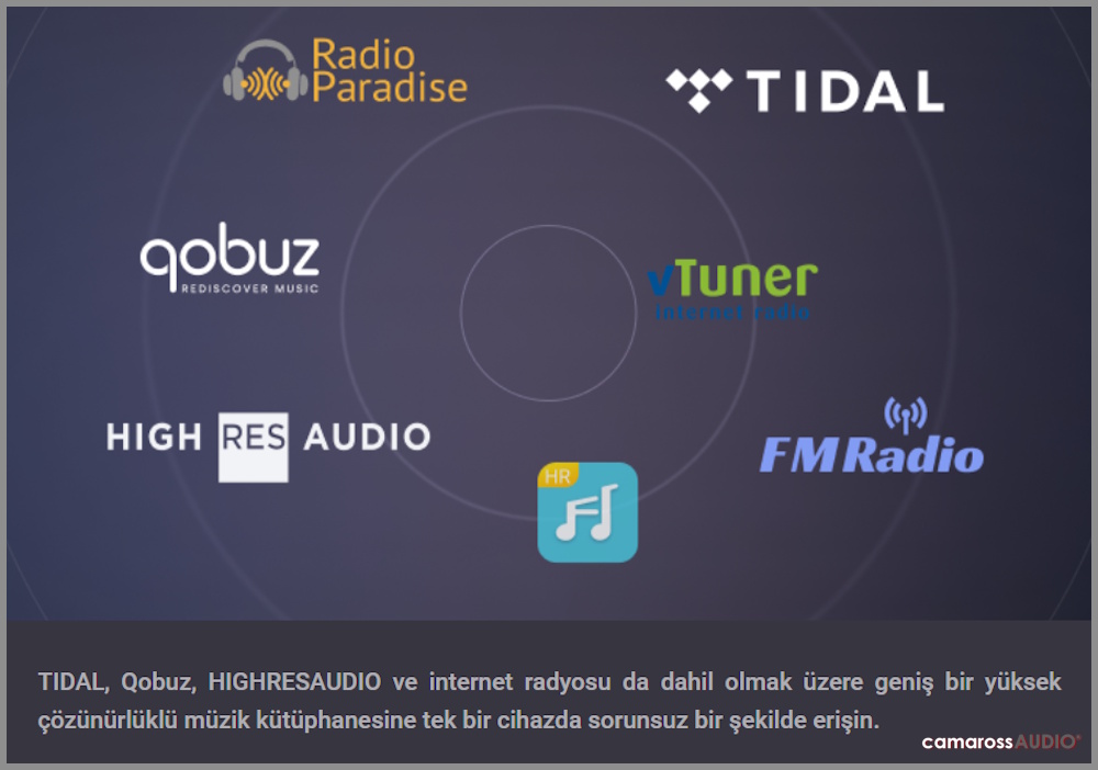 matrix audio ts-1 music streamer