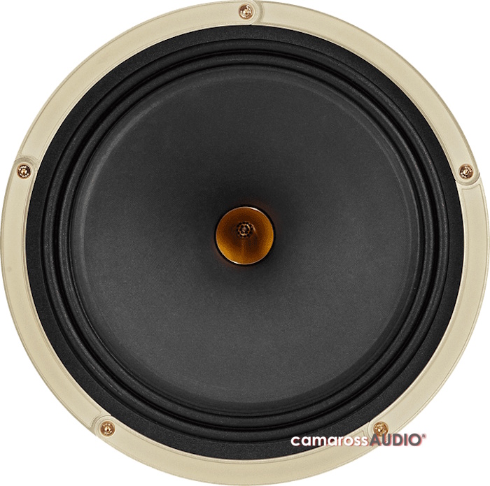 Tannoy CANTERBURY GR-OW hoparlör sürücüsü yakın çekim.