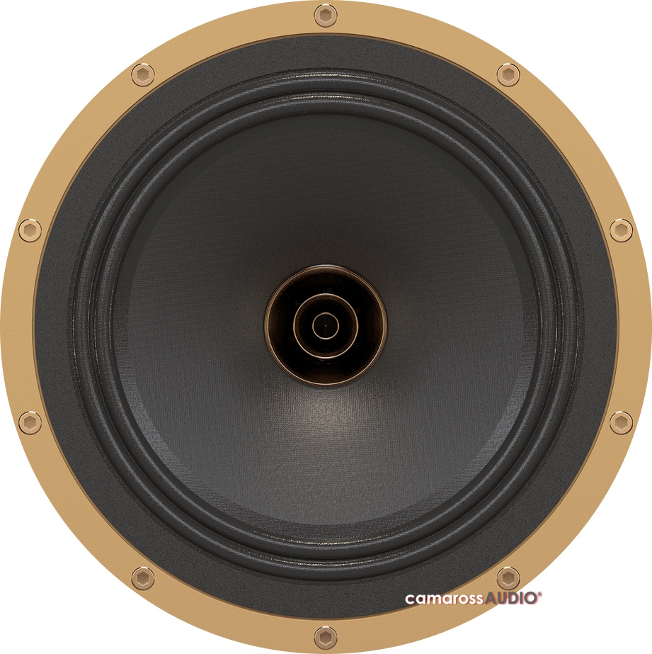 Tannoy EATON hoparlör sürücüsü, altın çerçeveli, siyah koni.
