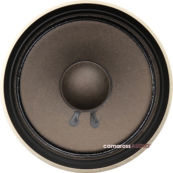 Pioneer CS-979 hoparlör sürücüsü yakın çekim fotoğrafı.