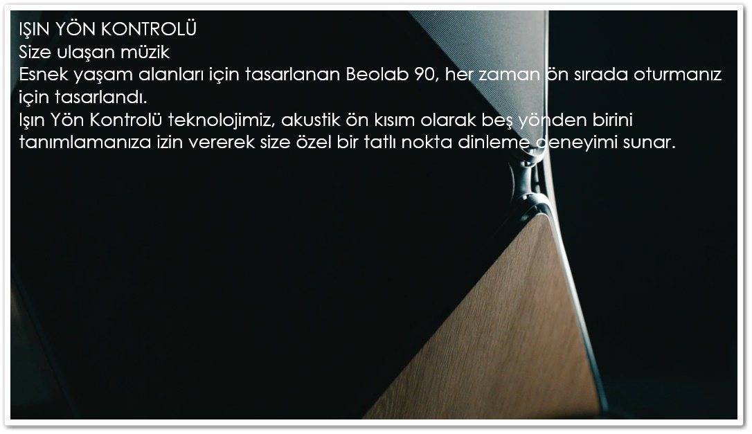 bang&olufsen-beoLab-90-speaker (22).jpg