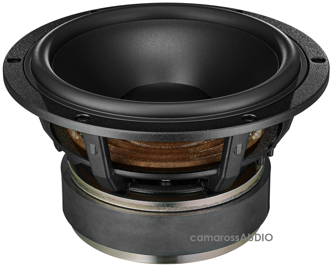 dynaudio evoke 20-50 woofer.jpg