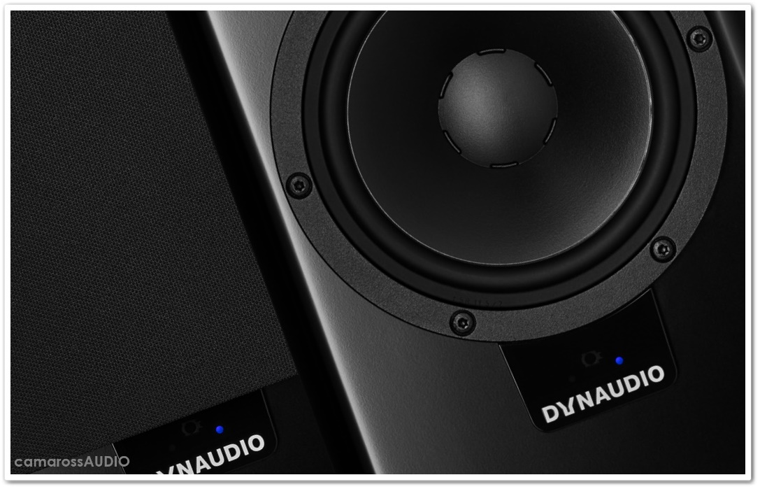 dynaudio_xeo_20_camarossaudio (10).jpg