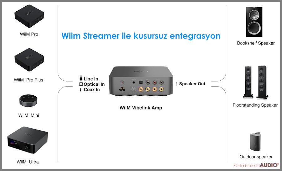 WiiM Vibelink Enregre Amplifikatör bağlantı şeması ve giriş/çıkış portları.