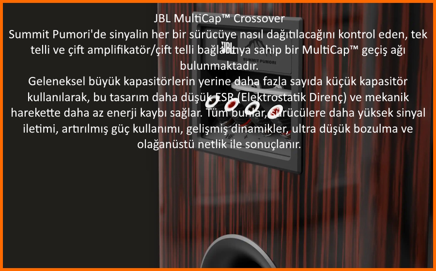 JBL Summit Pumori MultiCap Crossover bağlantı terminalleri detayı