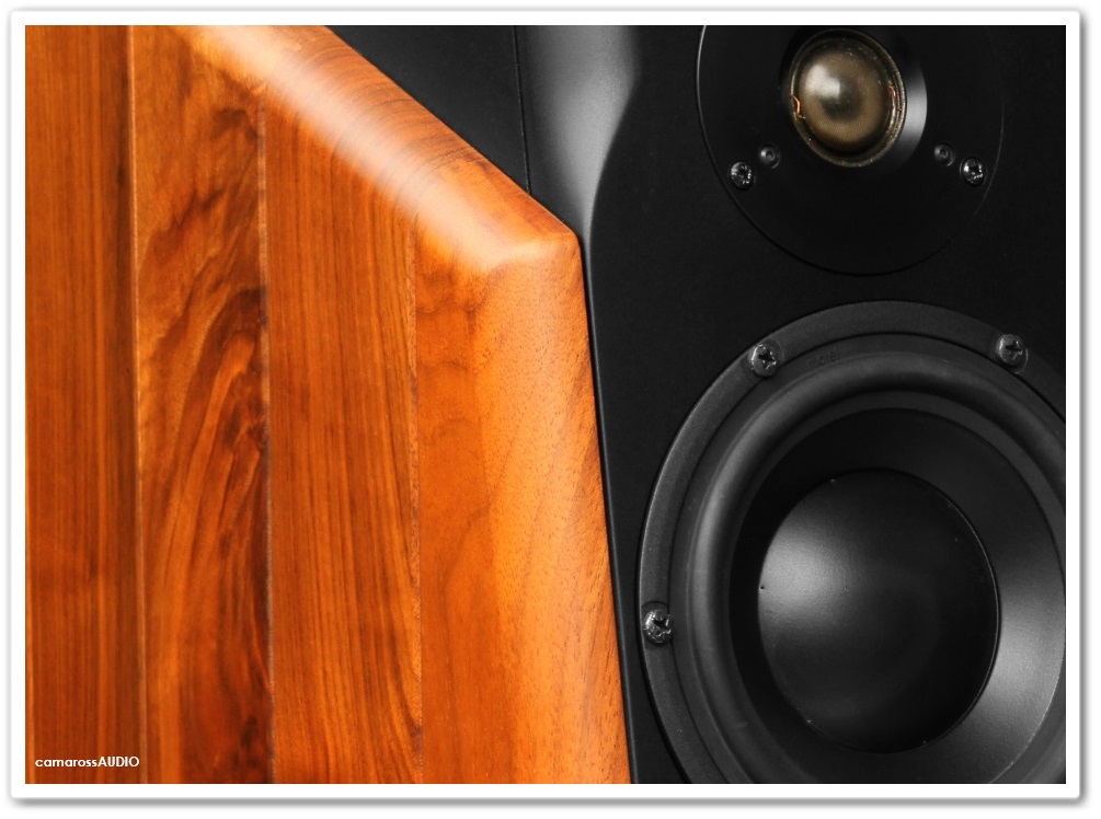 t-10-monitor-se_t10-speaker_sigma-acoust