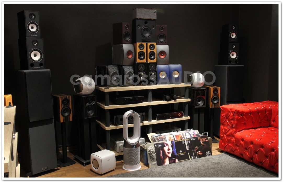 camarossaudio-shop-demo.jpg